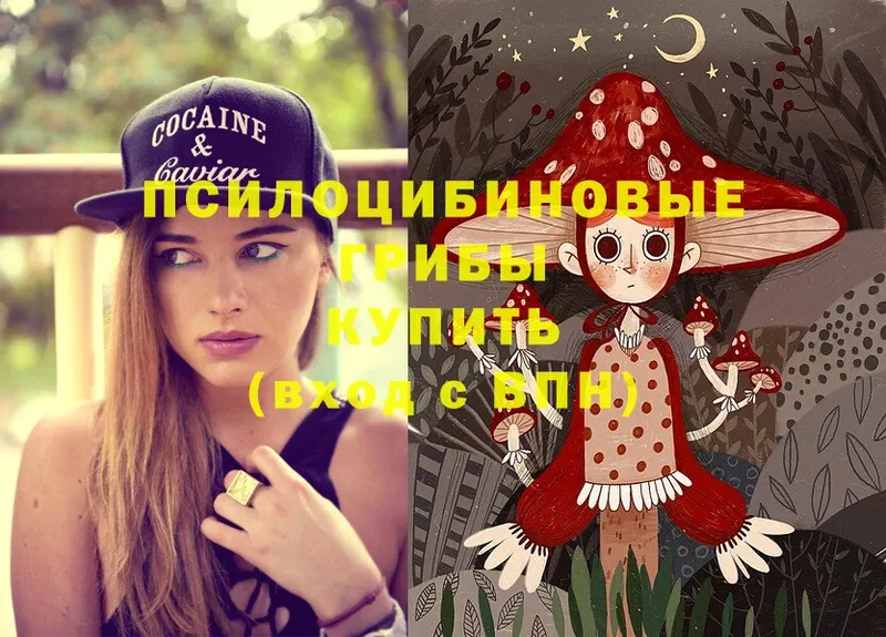 Галлюциногенные грибы Magic Shrooms  Тобольск 